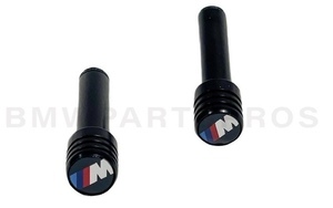 Kính Chắn Gió Sau Bmw Seri 5 Mã phụ tùng 51317199814