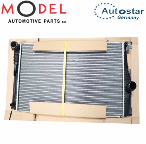 Két Nước At Bmw Seri 5 Mã phụ tùng 17117626560