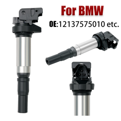 Mô Bin Bmw Seri 3 Mã phụ tùng 12137575010