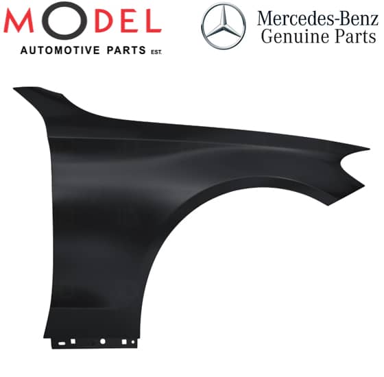 Tai Xe Phải Mercedes-Benz C Mã phụ tùng A2058800218