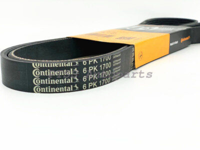 Dây Curoa Tổng Mercedes-Benz C Mã phụ tùng a0049930796
