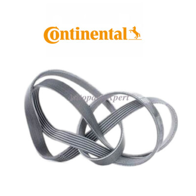 Dây Curoa Tổng Mercedes-Benz C Mã phụ tùng a0049930796