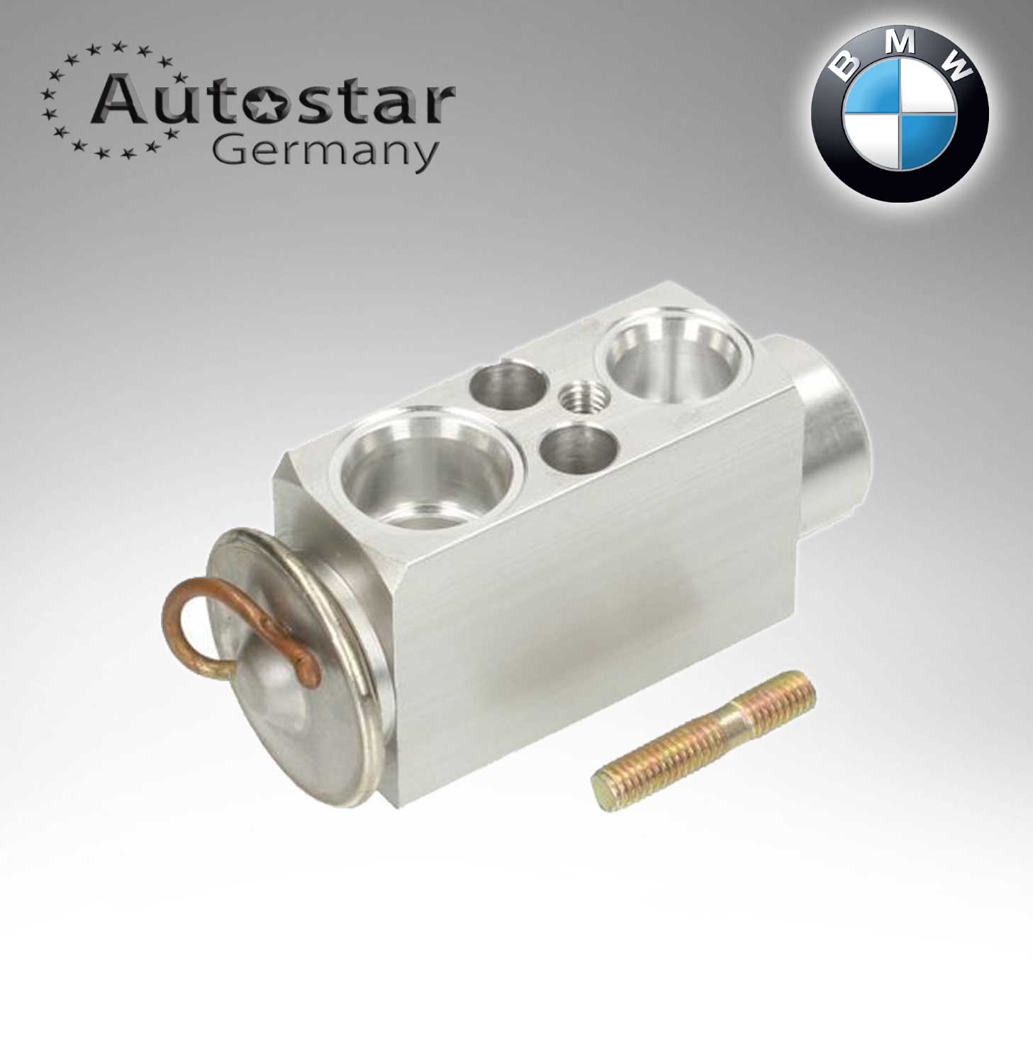 Van Tiết Lưu Bmw Seri 3 Mã phụ tùng 64116904437