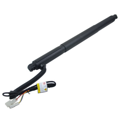 Ti Chống Cốp Hậu Phải Bmw X6 Mã phụ tùng 51247332698
