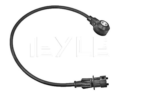 Cảm Biến Trục Cam Bmw Seri 3 OEM 3148990029-MEYLE
