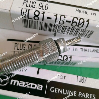 Bu Gi Sấy Ford Ranger OEM WL8118601