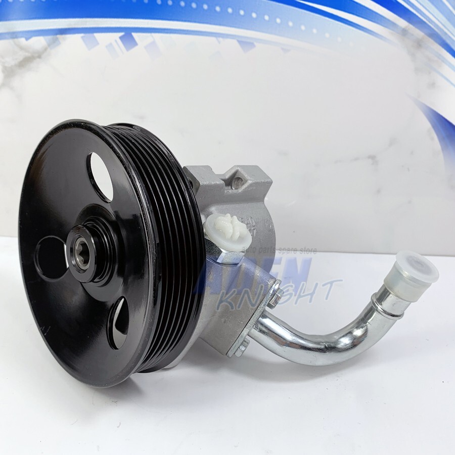 Bơm Trợ Lực Máy Xăng Chevrolet Captiva Mã phụ tùng 25980806