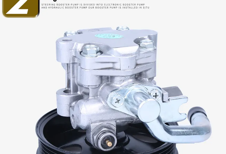 Bơm Trợ Lực Máy Xăng Chevrolet Captiva Mã phụ tùng 25980806