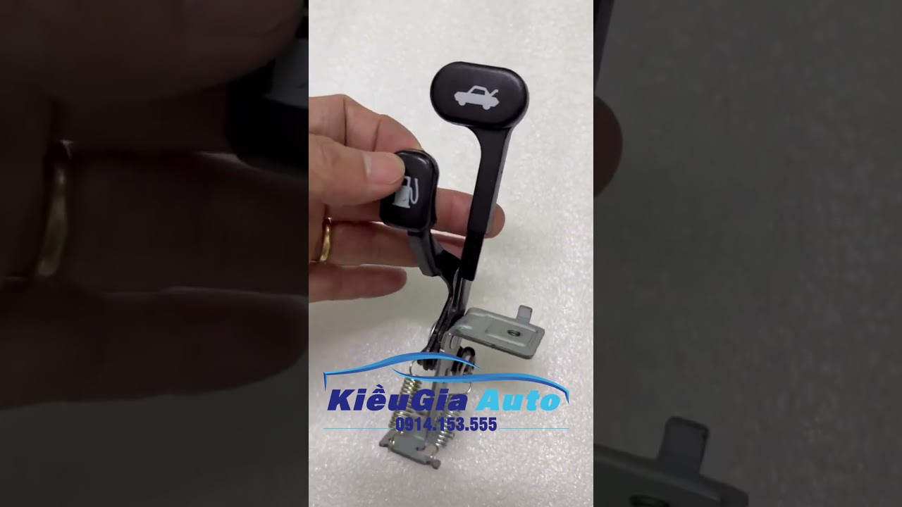 Cơ Cấu Mở Nắp Bình Xăng Ngoài Chevrolet Aveo Mã phụ tùng 96216127