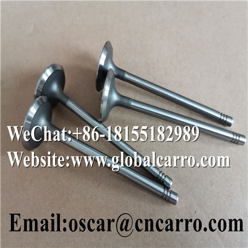 Xu Pháp Xả Daewoo Gentra Mã phụ tùng 96335948