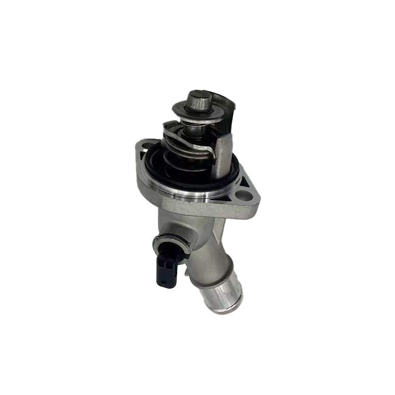Van Hằng Nhiệt Daewoo Matiz OEM 25192923
