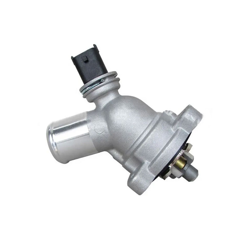 Van Hằng Nhiệt Daewoo Matiz OEM 25192923