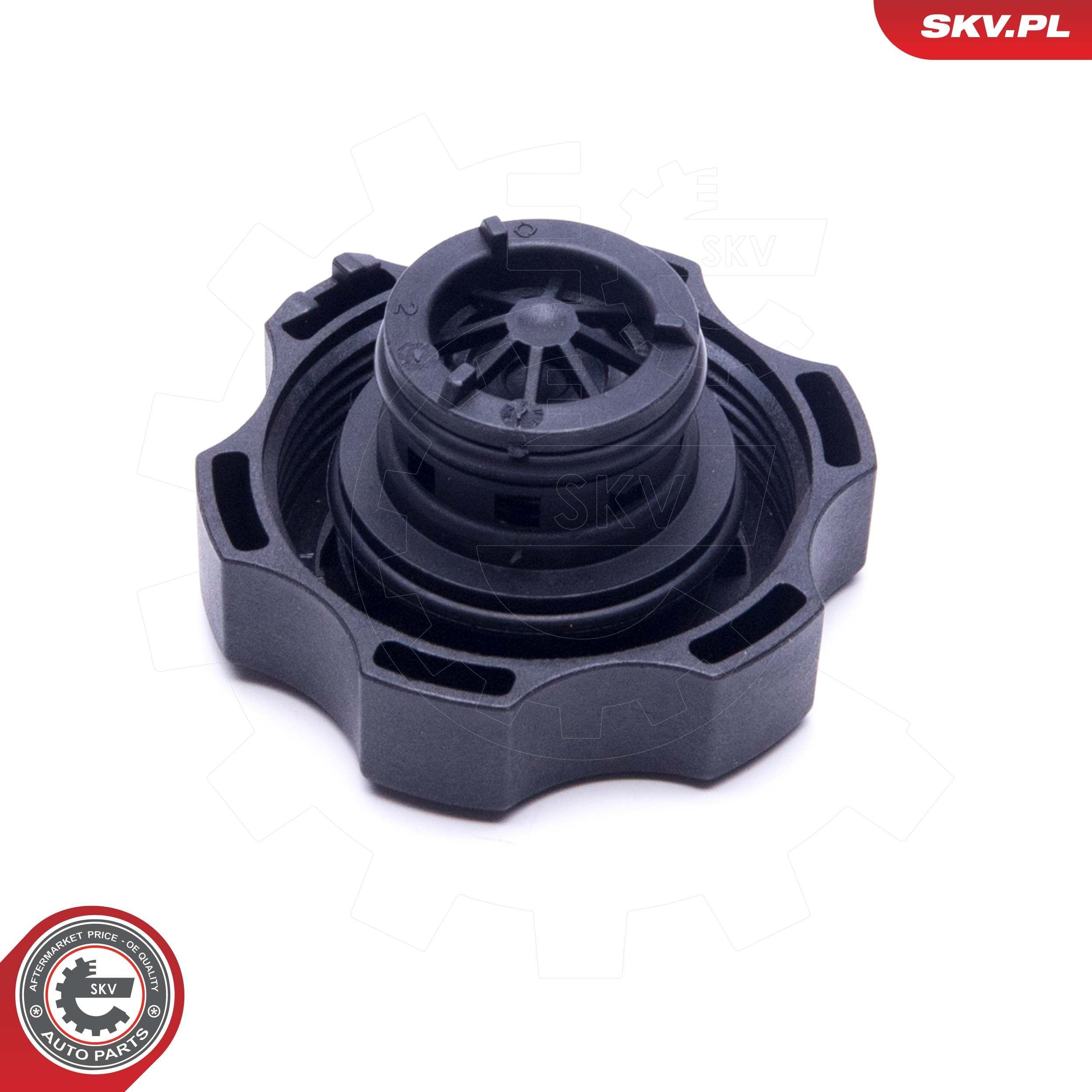 Nắp Bình Nước Phụ Daewoo Matiz Mã phụ tùng 13598760