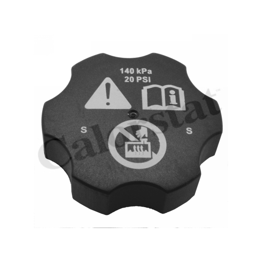 Nắp Bình Nước Phụ Daewoo Lacetti Mã phụ tùng 13598760