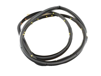 Gioăng Cánh Cửa Trước Phải Daewoo Lacetti Mã phụ tùng 95021341