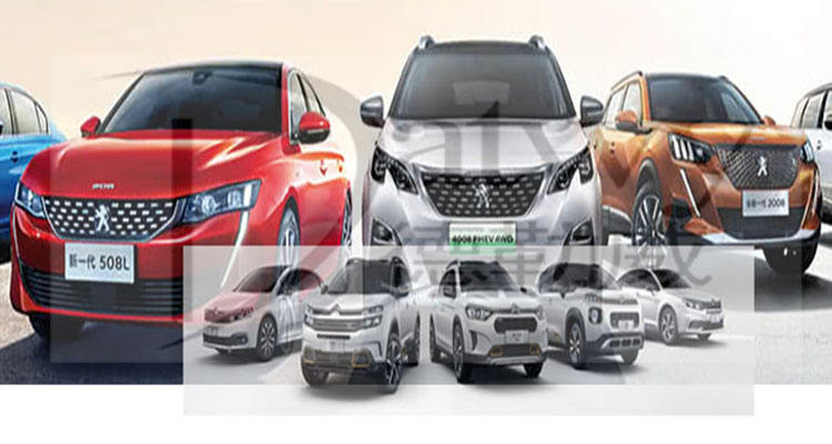 Viền Ca Lăng Peugeot 5008 Mã phụ tùng YL004102DX