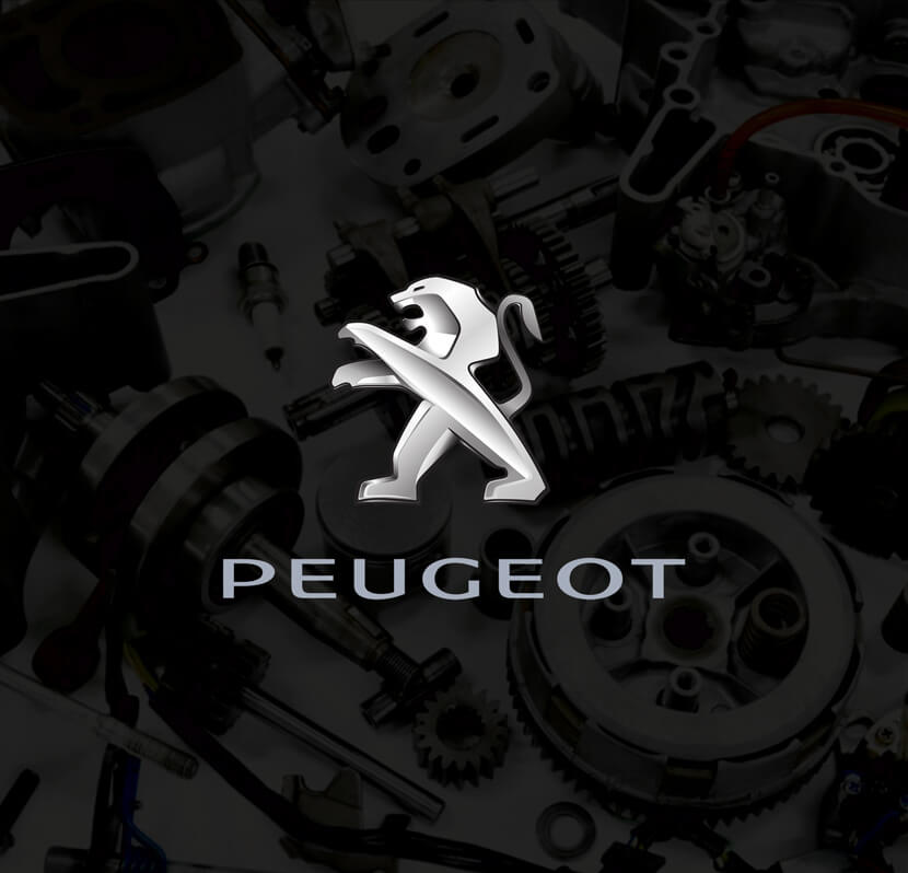 Má Phanh Trước Peugeot 5008 OEM MS-E0173