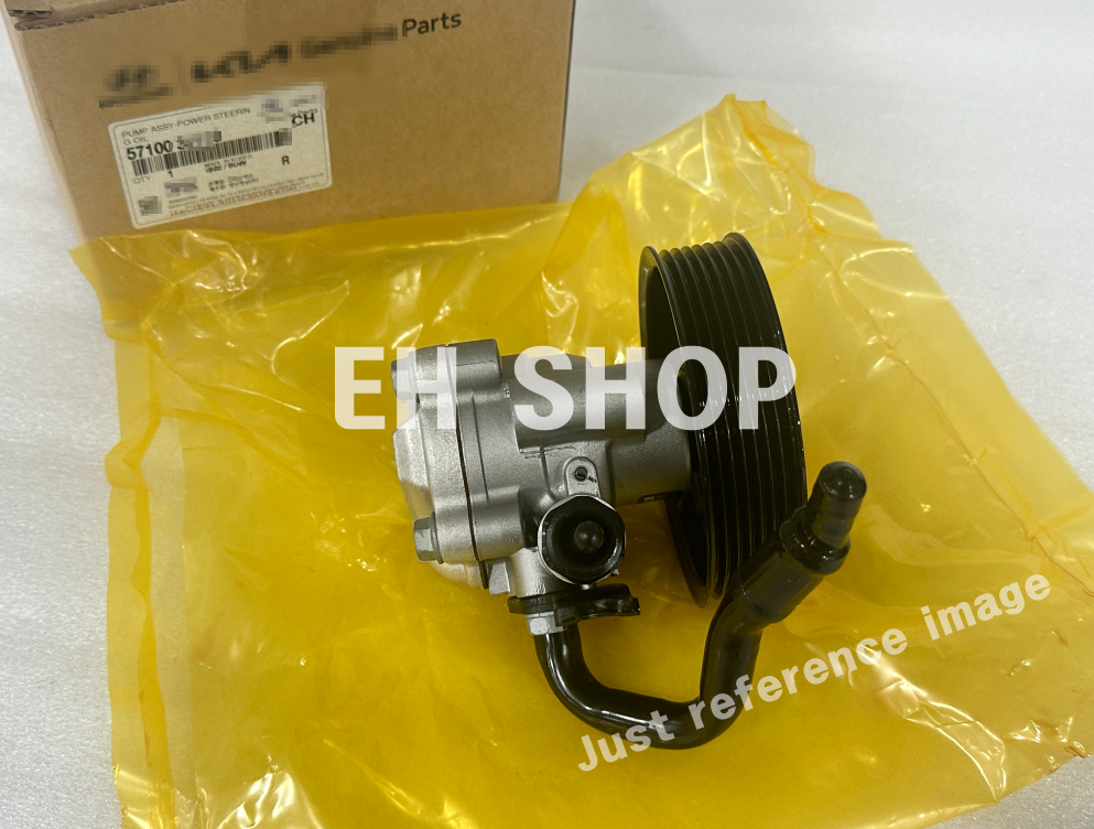 Bơm trợ lực Terracan Mã phụ tùng 57110H1300