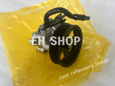 Bơm trợ lực Terracan Mã phụ tùng 57110H1300