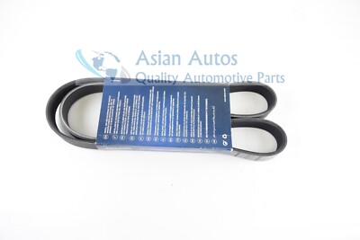 Dây Curoa Tổng Mr20 Nissan Tida OEM 6PK-1210