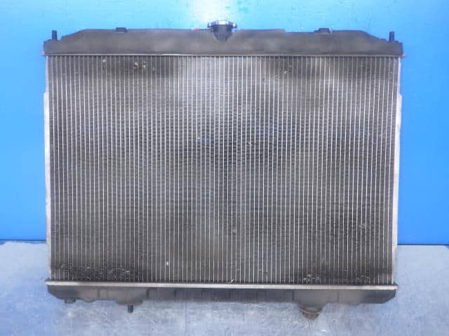 Két Nước T30 Nissan X - trail Mã phụ tùng 21410EQ30B