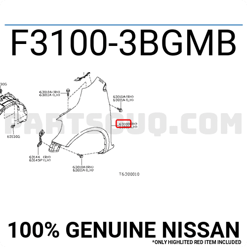 Tai Xe Phải Nissan Sunny OEM F31003BGMB