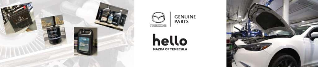 Cao Su Càng Sau Phải Mazda 323 OEM D2537RG