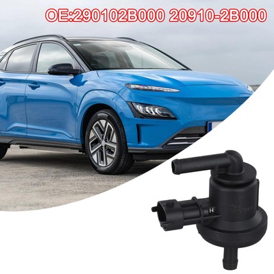Van Lọc Xăng Kia koup Mã phụ tùng 209102B000