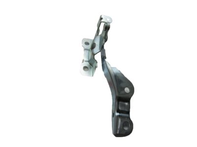 Bản Lề Ca Pô Phải Kia Carens / rondo Mã phụ tùng 791201D000
