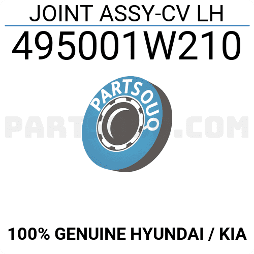 Cây Láp Trái Kia Rio Mã phụ tùng 495001W210