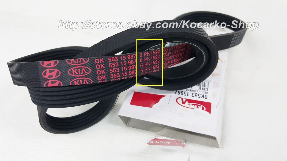 Dây Curoa Tổng 5Pk1592 Kia Bongo Mã phụ tùng 0K55315987
