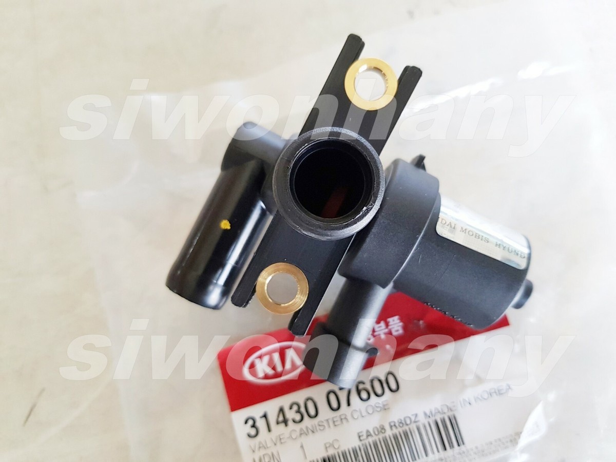 Van Thu Hồi Xăng Thừa Kia Morning / Picanto Mã phụ tùng 3143007600