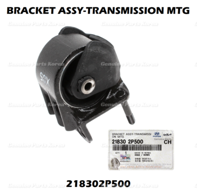 Chân Treo Hộp Số Tự Động Kia Sorento Mã phụ tùng 218302P400