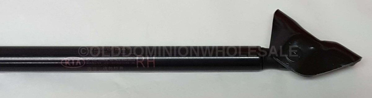 Ti Chống Cửa Hậu Kia Morning / Picanto Mã phụ tùng 8178007010