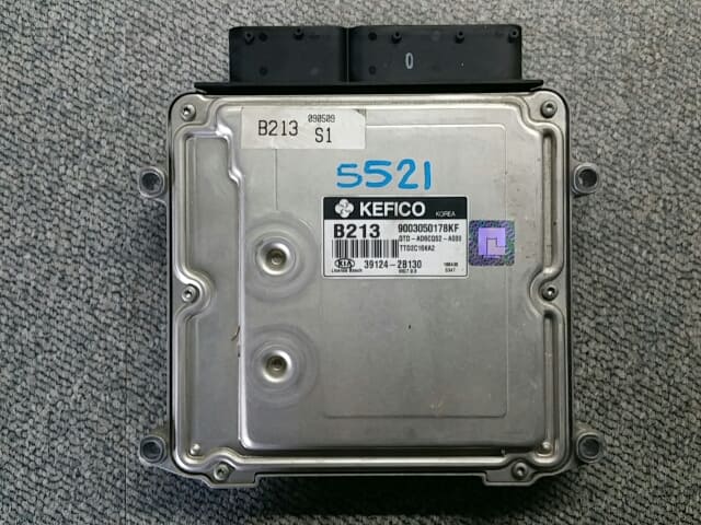 Hộp Đen - Ecu Kia Forte / Cerato Mã phụ tùng 391242B130