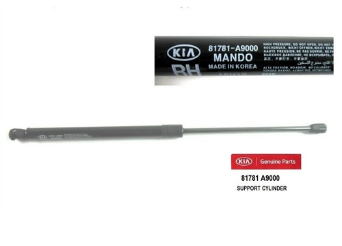 Nắp Chụp Rửa Đèn Pha Trái Kia Grand Sedona Mã phụ tùng 98681a9000