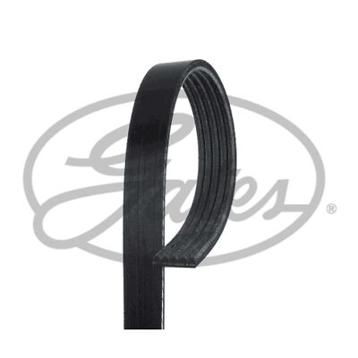 Dây Curoa 1.2 - 5Pk890 Kia Morning / Picanto Mã phụ tùng 2521203210