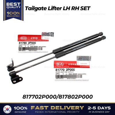 Ti Chống Cửa Hậu Trái Kia Sorento Mã phụ tùng 817702p000