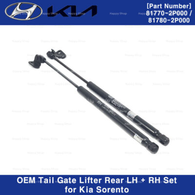 Ti Chống Cửa Hậu Trái Kia Sorento Mã phụ tùng 817702p000