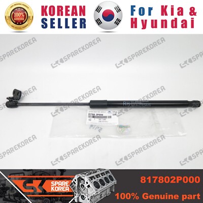 Ti Chống Cửa Hậu Phải Kia Sorento Mã phụ tùng 817802p000