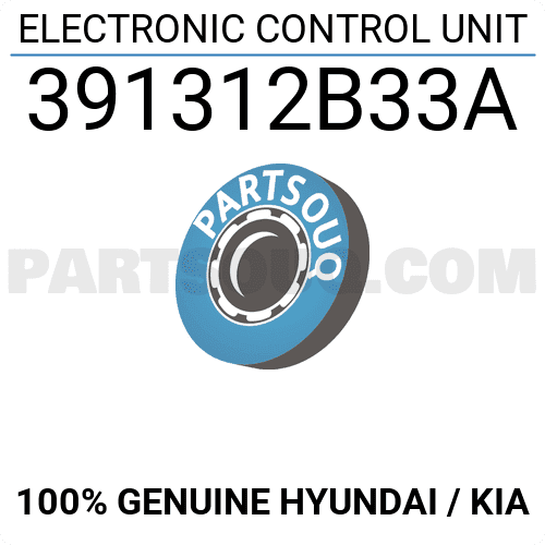 Hộp Ecu Kia Rio Mã phụ tùng 391312B33A